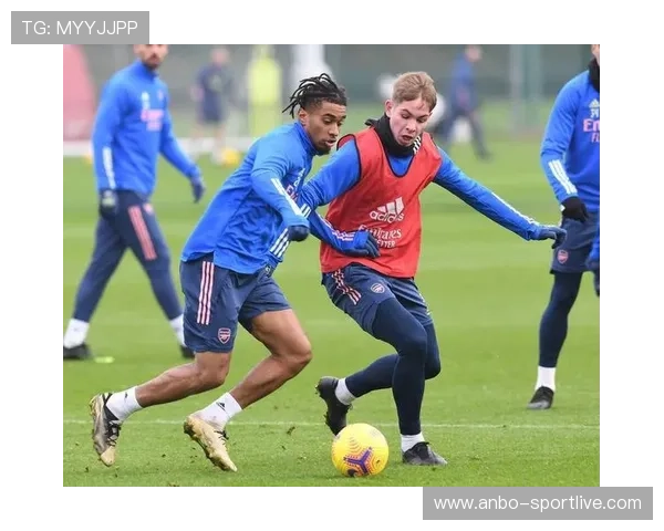 布莱顿俱乐部发展历程与未来战略分析研究