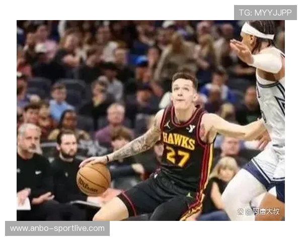 NBA老鹰队赛季精彩表现全面解析与未来潜力展望